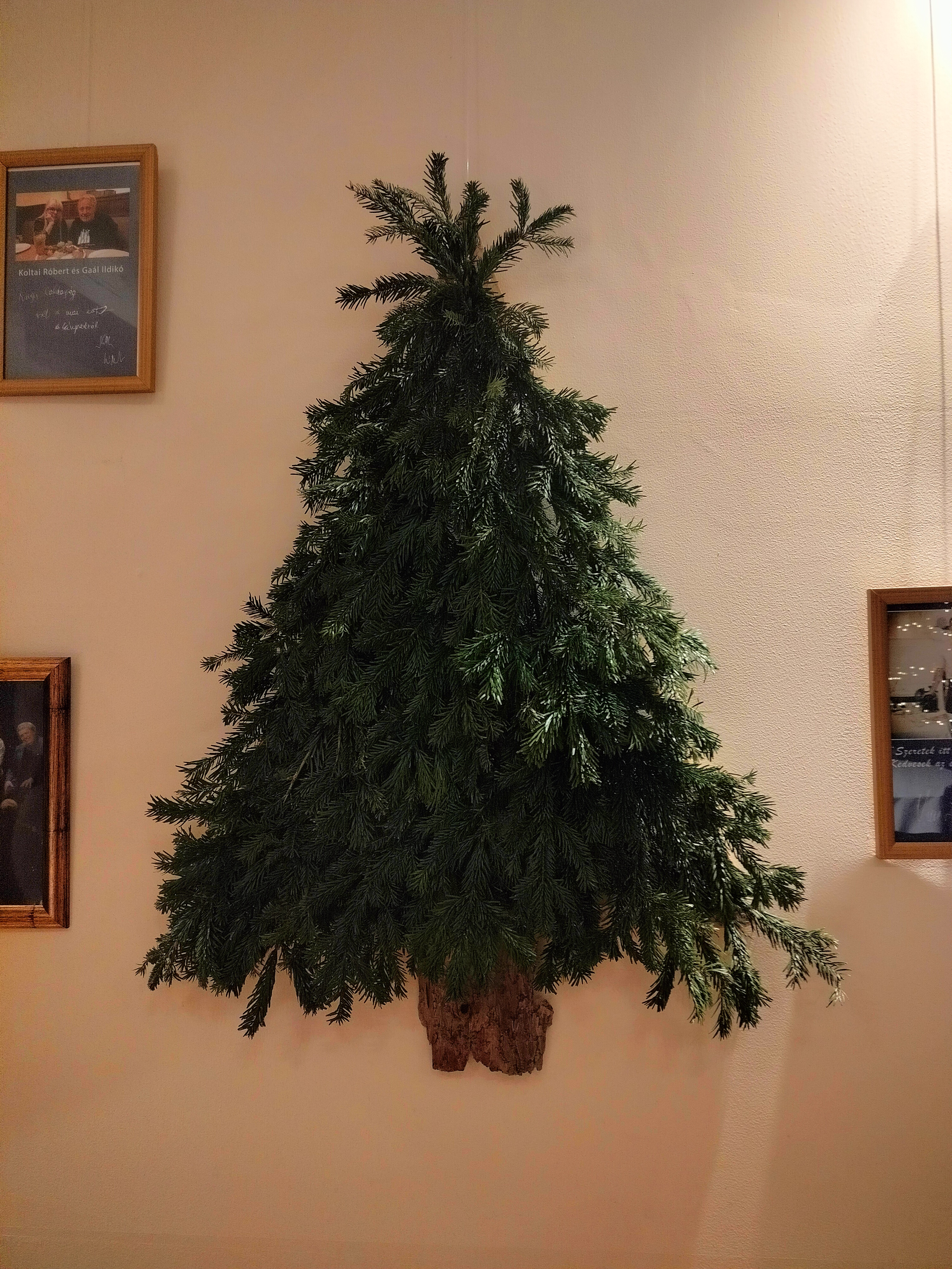IMG20251210141256.jpg